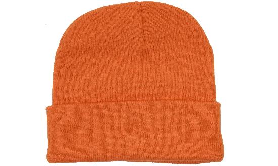 Acrylic Beanie Toque - 4243