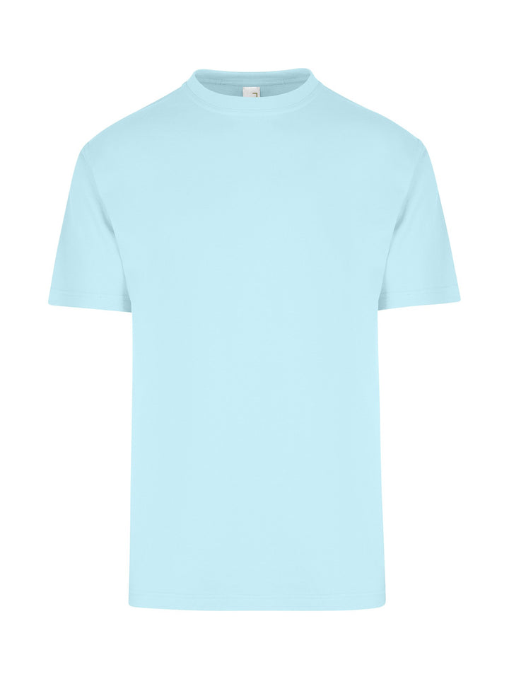 Men's/Unisex Regular Tee - T202HT (8 Colours)