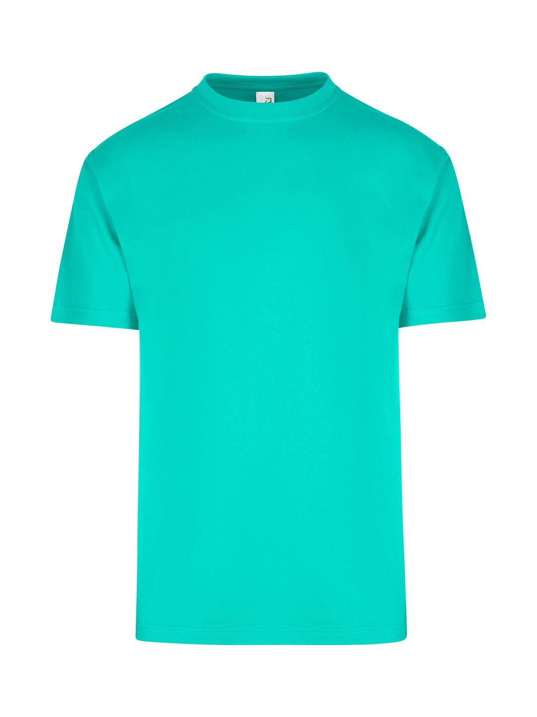 Men's/Unisex Regular Tee - T202HT (5 Colours)