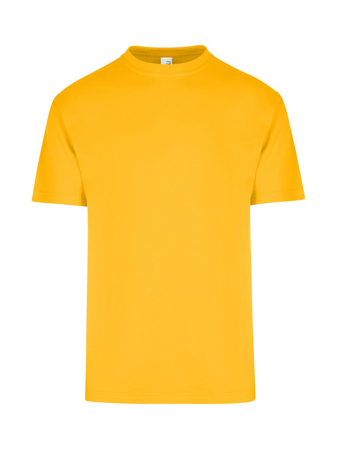 Men's/Unisex Regular Tee - T202HT (5 Colours)